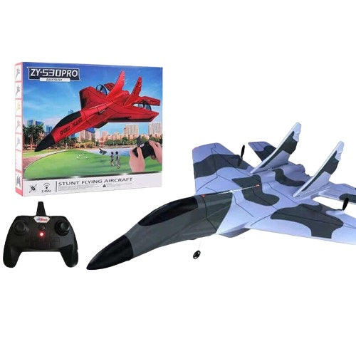 yeyang ZHIYANG ZY-425 RC Airplane – Sea, Land & Air | Durable 2.4GHz EPP