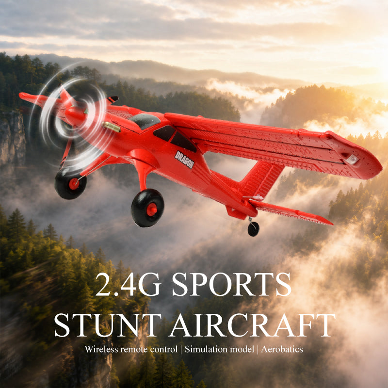 QIDI-590 4CH RC sin escobillas Avión Acrobático con Equilibrio Automático 2.4G