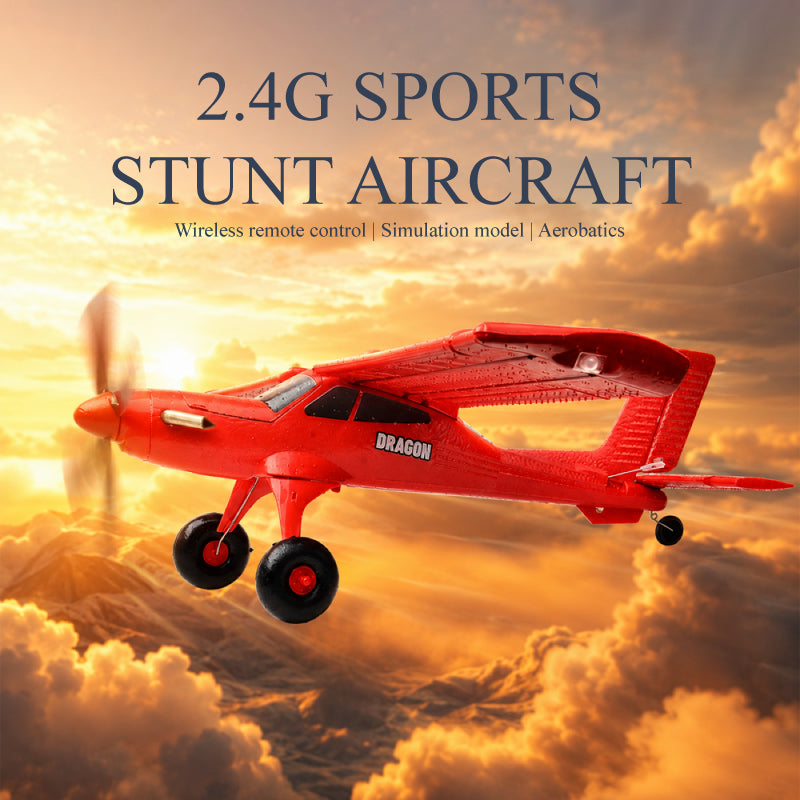 QIDI-590 4CH RC sin escobillas Avión Acrobático con Equilibrio Automático 2.4G