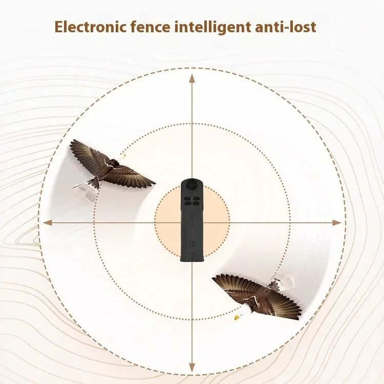 Go Go Bird 1050 electronic fence intelligent anti-lost feature showing RC eagle flying within safety radius around remote controller