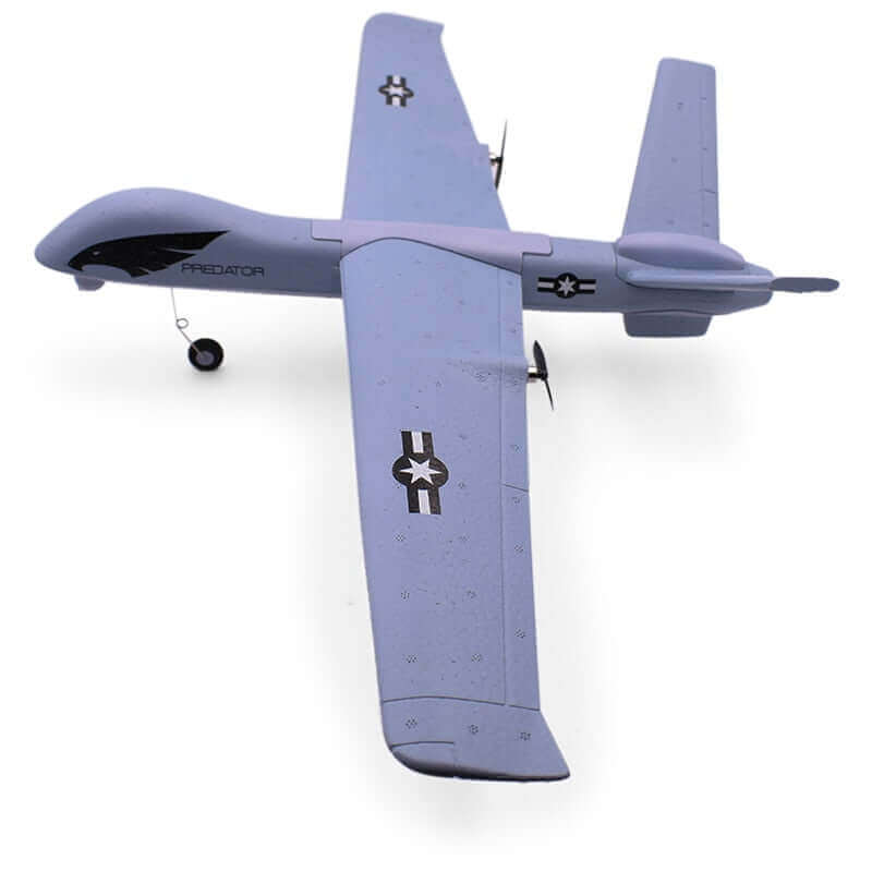 Predator Z51 RC Avião - 2.4G 2CH Modelo voador brinquedo planador